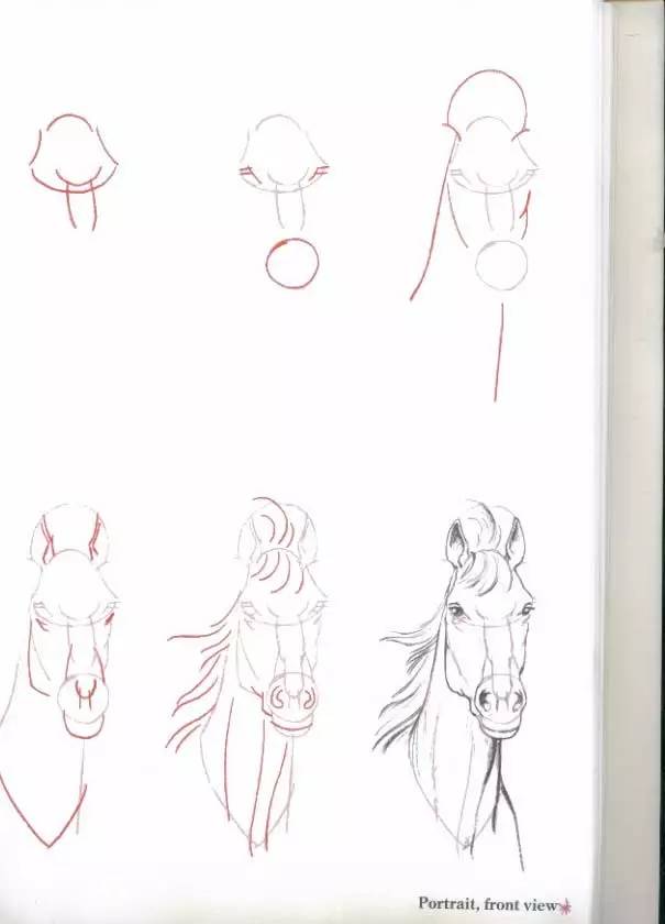 一分钟学会画一个狗,一分钟教你学会画马