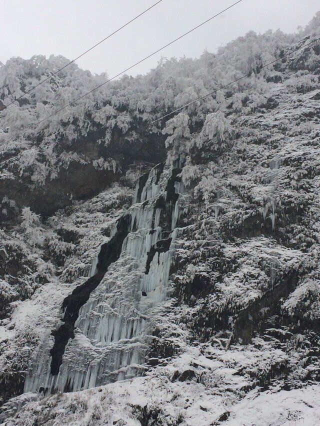 从稻城亚丁回重庆开车推荐路线,重庆到稻城亚丁开什么车最好