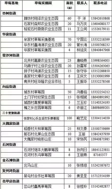 大连草莓采摘全过程,大连草莓采摘园推荐