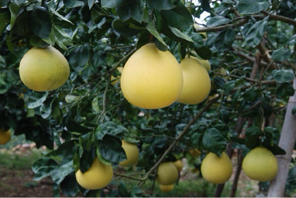 美丽苍南,美丽浙江温州瑞安