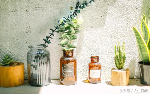 愿年华无伤岁月静好句子,岁月静好年华无伤上一句