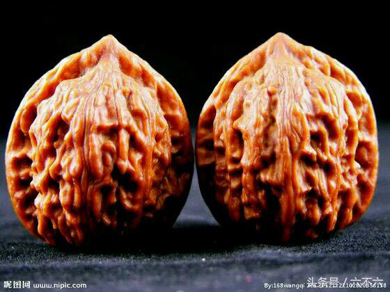 涨知识50个网站,涨知识50个实用网站