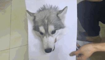 你被骗了手绘版,你被骗了简笔画