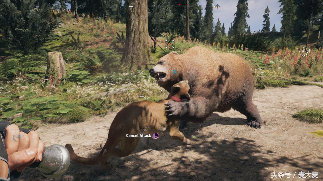 孤岛惊魂5黄金版攻略单机,麦大麦的游戏推荐