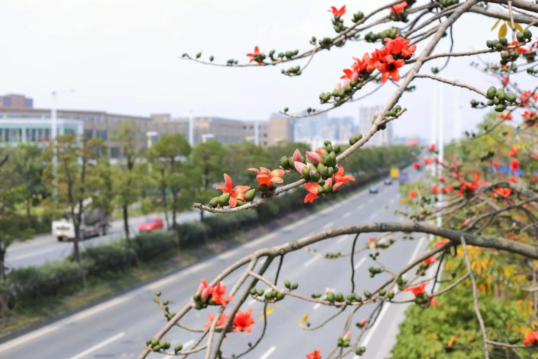 湿气变重怎么办,湿气重身体又上火怎么办