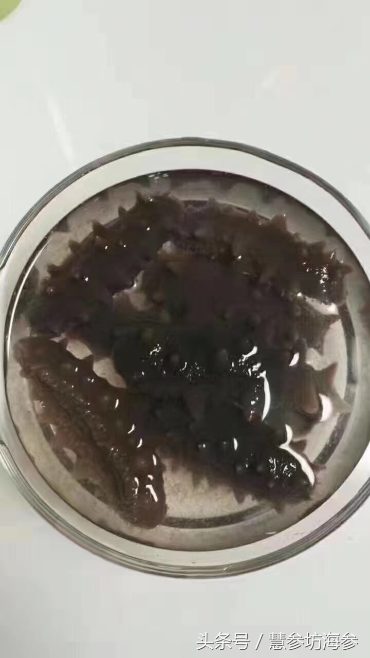 男性备孕吃海参好不好,备孕男性吃海参好不好