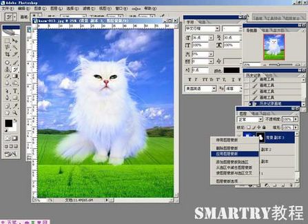 抠图抠不干净ps用哪个工具,ps抠图和ai抠图区别