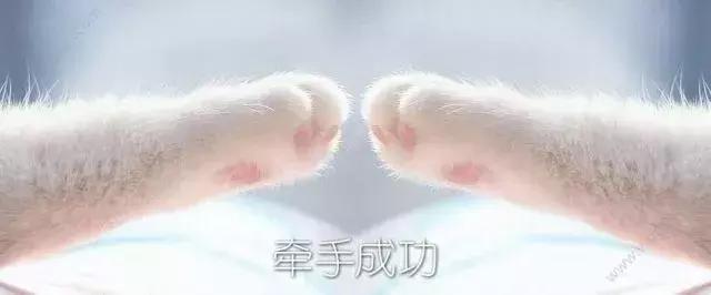 愚人节你被捉弄的经历英语作文,愚人节你被骗了吗