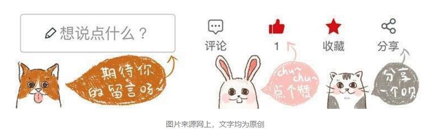 主人带猫去参加展会,主人带猫咪去参加猫展