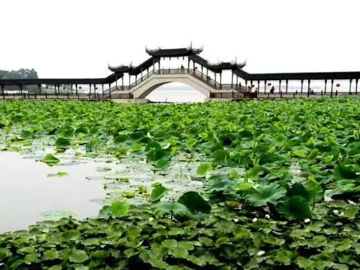 昆山人口激增,昆山近10年吸引多少外来人口