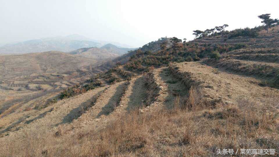清明游莱芜莲花山,莱芜旅游十大必去景点