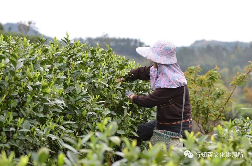 温州问道,温州问界