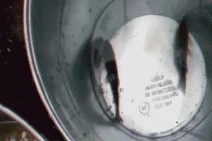 冻在冰里的鱼复活,液氮冻住活鱼24小时还能复活