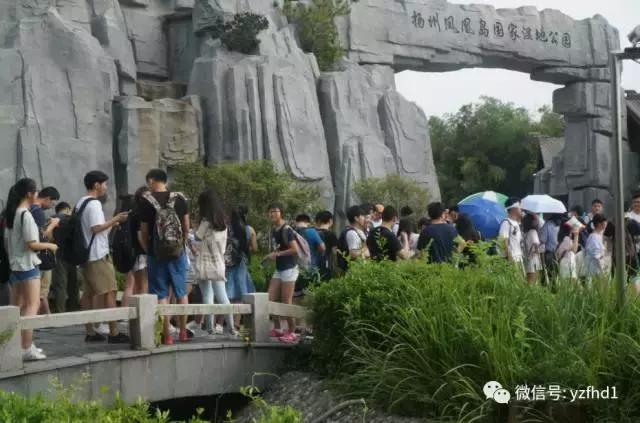 扬州中国风湿地公园,六月的扬州湿地公园