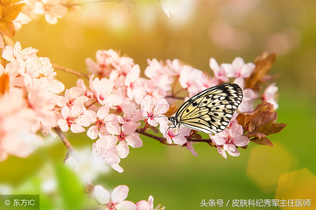 春暖花开身上过敏怎么办,春暖花开过敏袭来