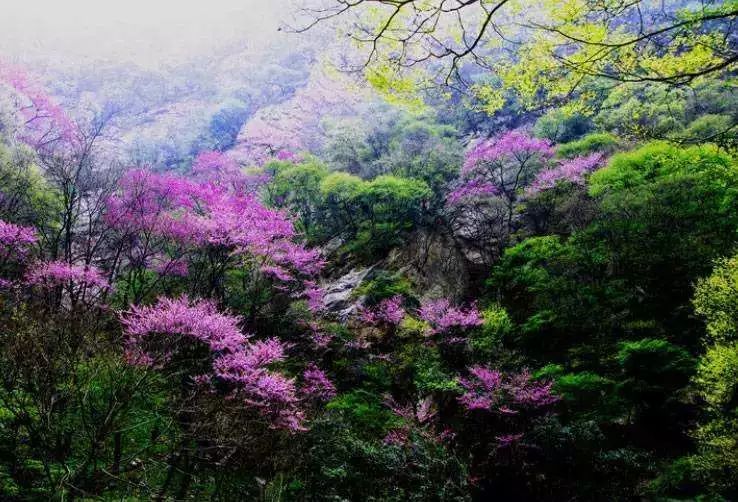 西安清明自驾,西安清明自驾免费景点