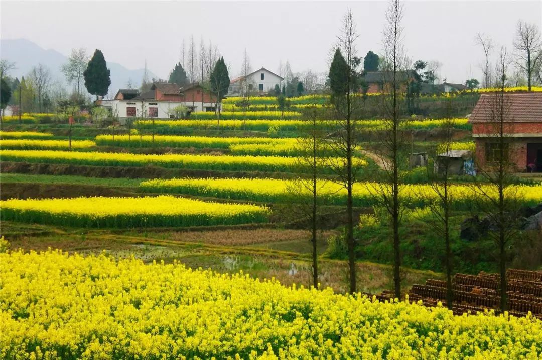 西安清明自驾,西安清明自驾免费景点