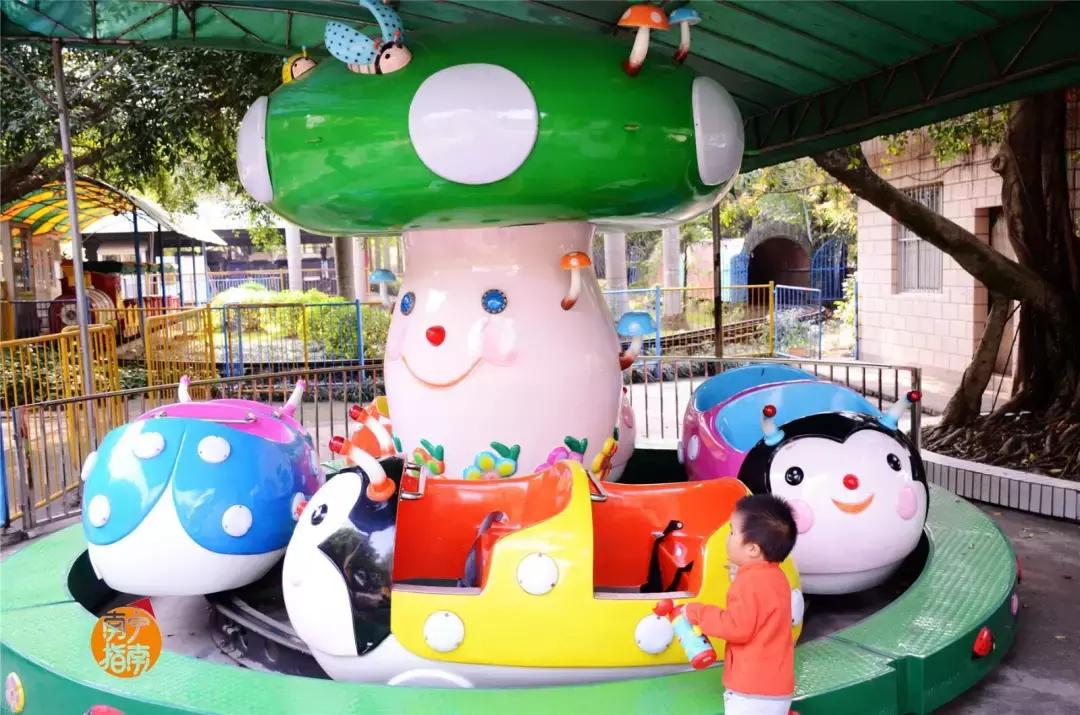 金花茶公园景点,走进金花茶公园