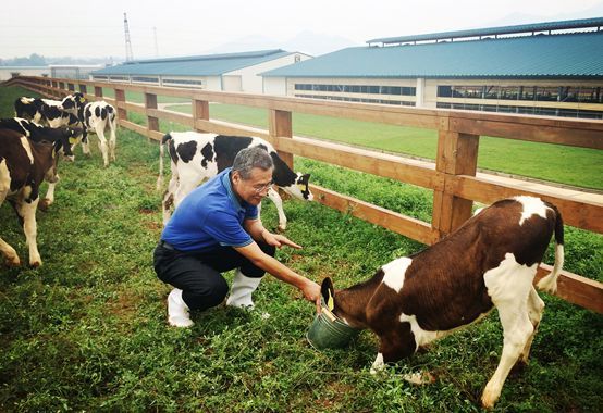 挺住了,国产奶粉现在的质量