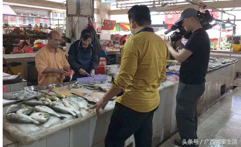 中央电视台致富经栏目怎么样,cctv17中央电视台《致富经》