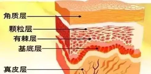 安瓶精华和小黑瓶哪个好,安瓶和安瓶精华的区别在哪里