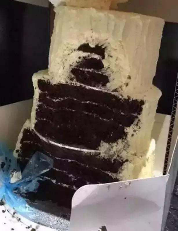 十个拉布拉多,拉布拉多一窝下14个人