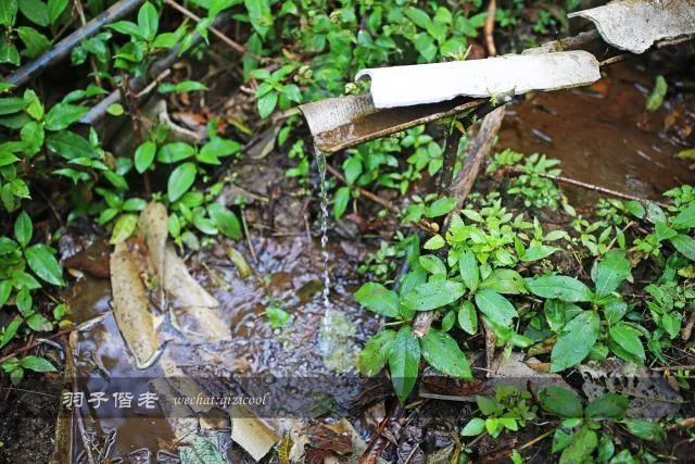 云南沧源靠近哪个国家,云南沧源最好玩的地方