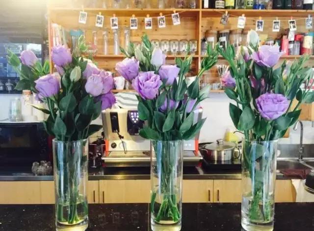 深圳必去的十大书店,深圳网红书店茑屋书店