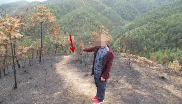 清明期间重大事件,清明事件曝光