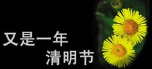 清明时节雨纷纷，路上行*欲人**断魂