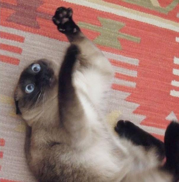 不堪入目，暗访喵届吸毒场所，竟……