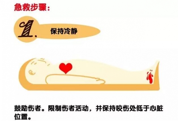 遇到毒蛇怎么办？专业知识还是需要的！