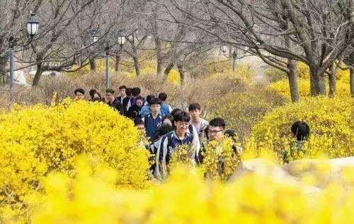 大连高校校花大pk,大连高中校花