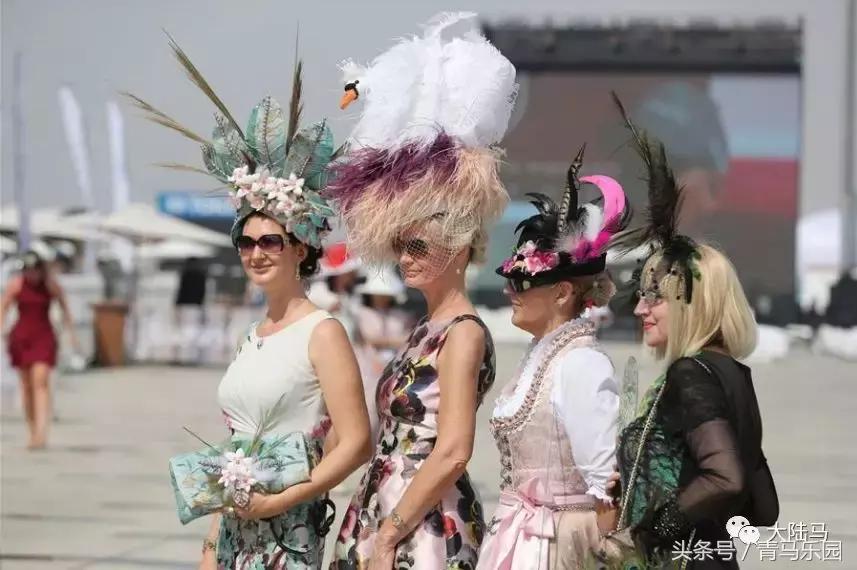 赛马节马的装扮,第27届迪拜赛马世界杯