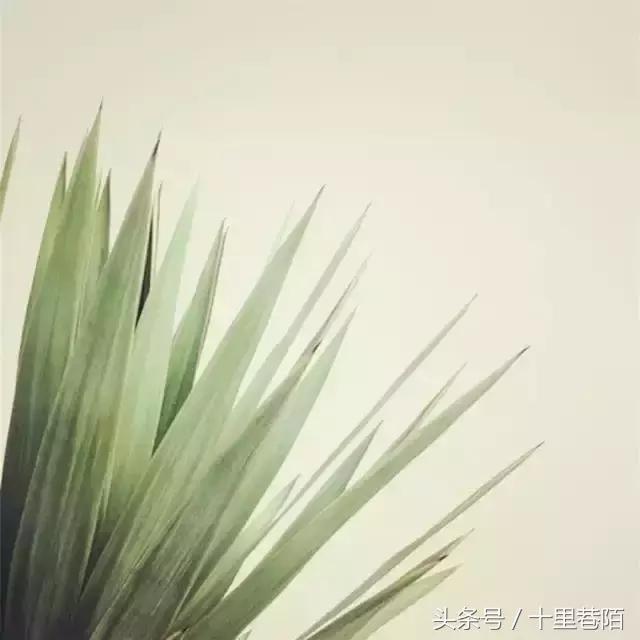 做事要认真万事开头难要克服困难,老板是借力不是尽力精辟