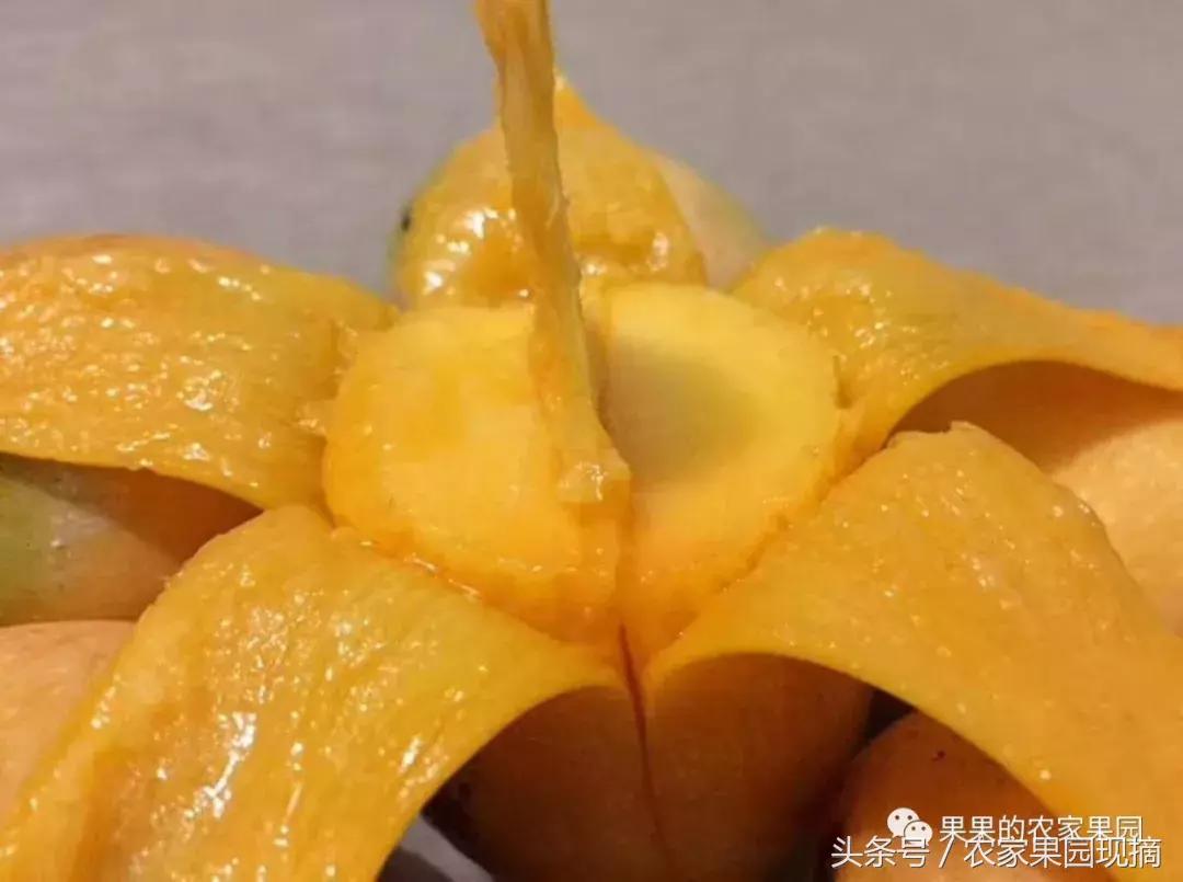 芒果有多少品种哪种更好吃,什么芒果品种最大最好吃