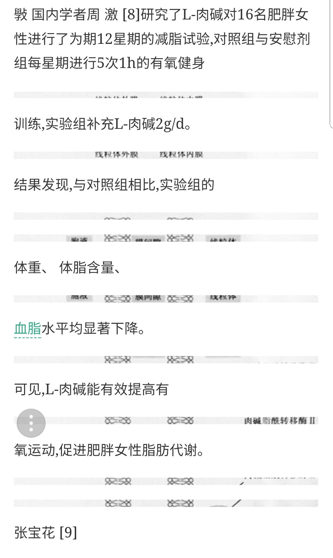 左旋肉碱怎么起到减肥效果,左旋肉碱可以提高多少的减肥效率