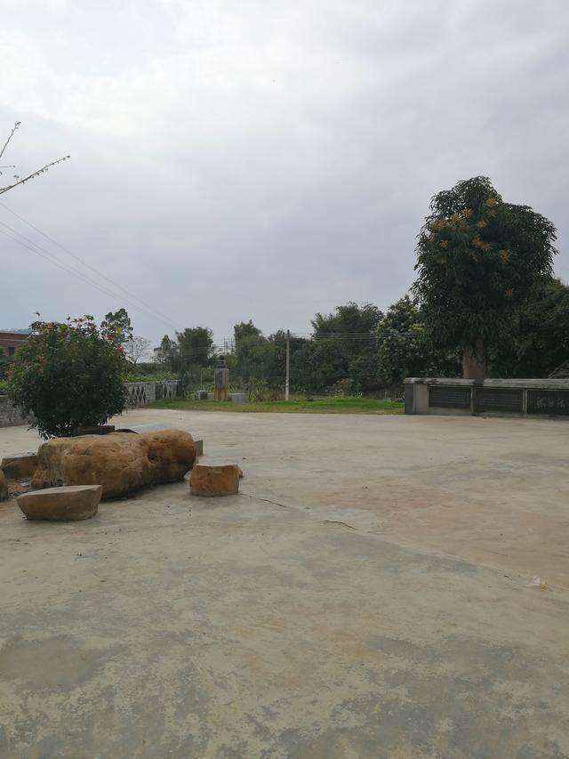 哲字代表寓意,哲寓寓意是什么