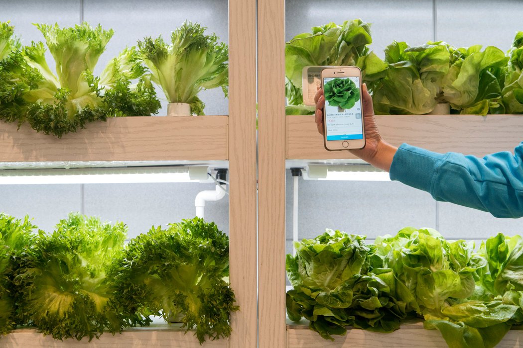 从亚马逊到中国,从亚马逊导入到shopify的工具