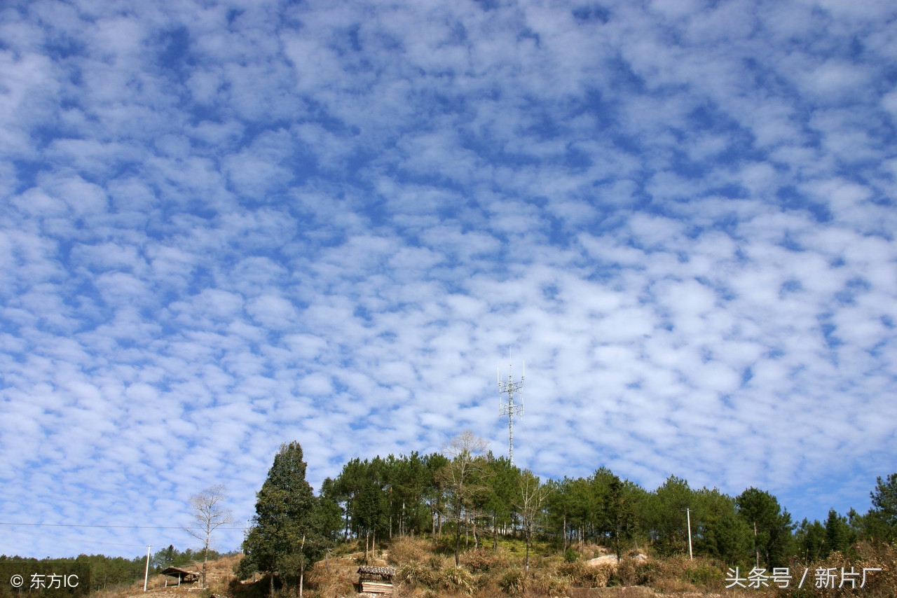 农人谚语,一条有关天气的农谚
