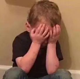 养猫铲屎官注意事项,铲屎官爱猫的三种境界