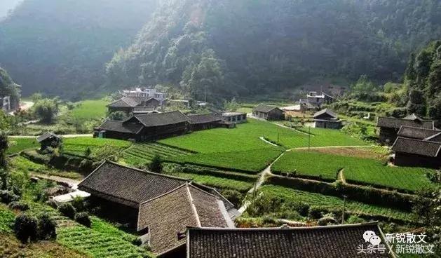 公路铁路有一天会被他们踩在脚下，他们的儿孙会跟着公路私奔