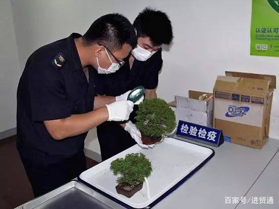 商检法检和普通检查有什么区别,海关法检和商检有什么区别