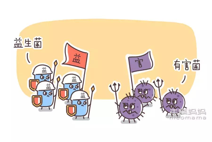 市面上各种益生菌有用吗,关于益生菌你家宝宝用对了吗