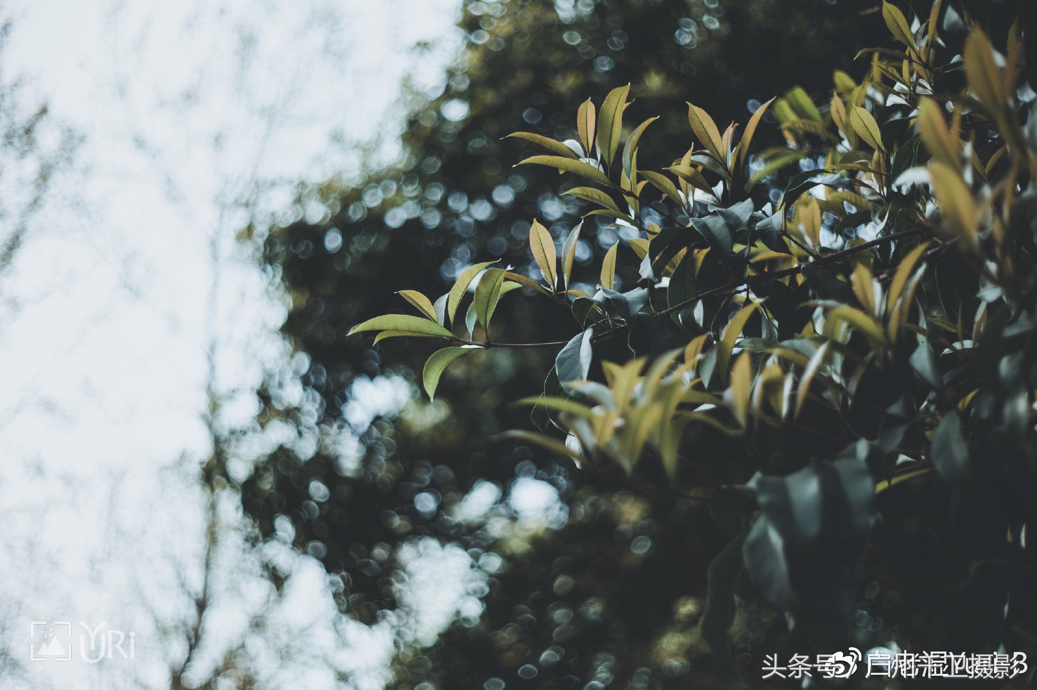 施耐德schneider德国原厂,施耐德schneider走珠笔