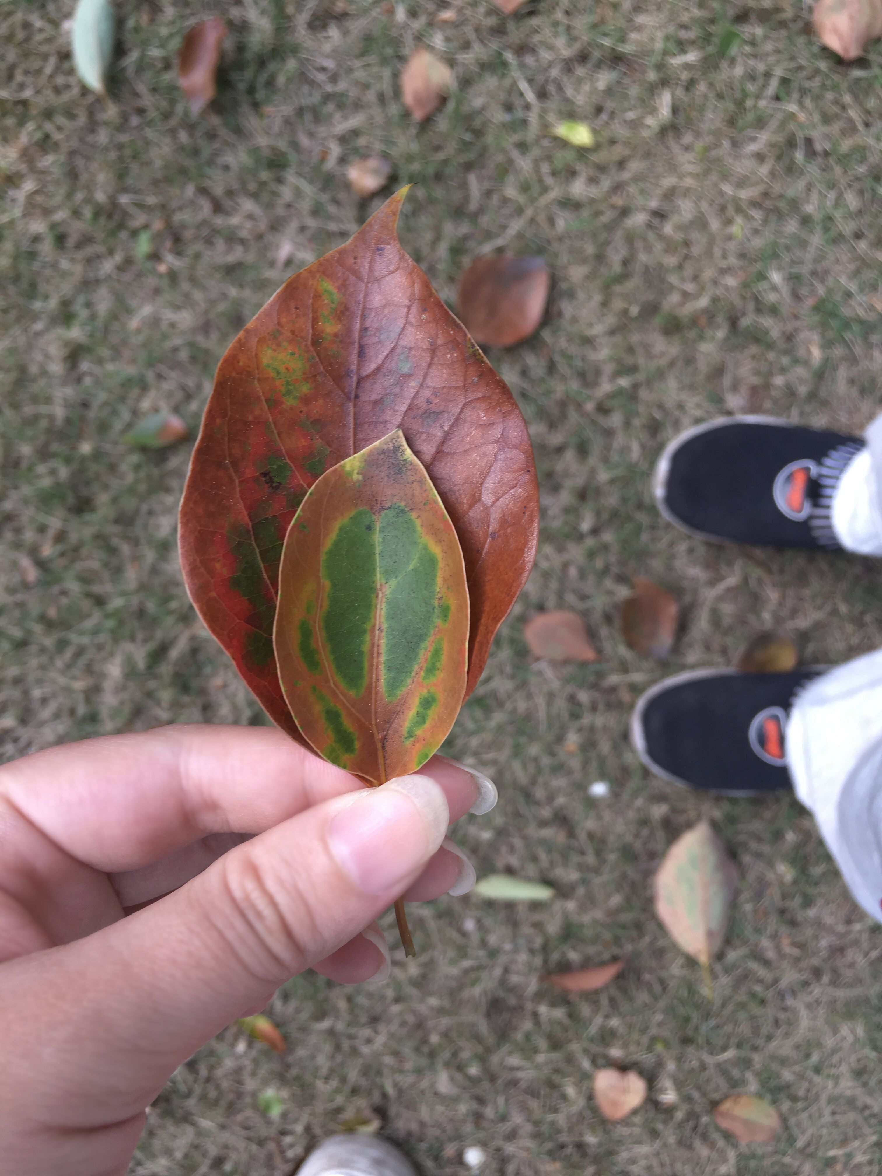 数学的本质是怎样的,数学的本质是物理吗