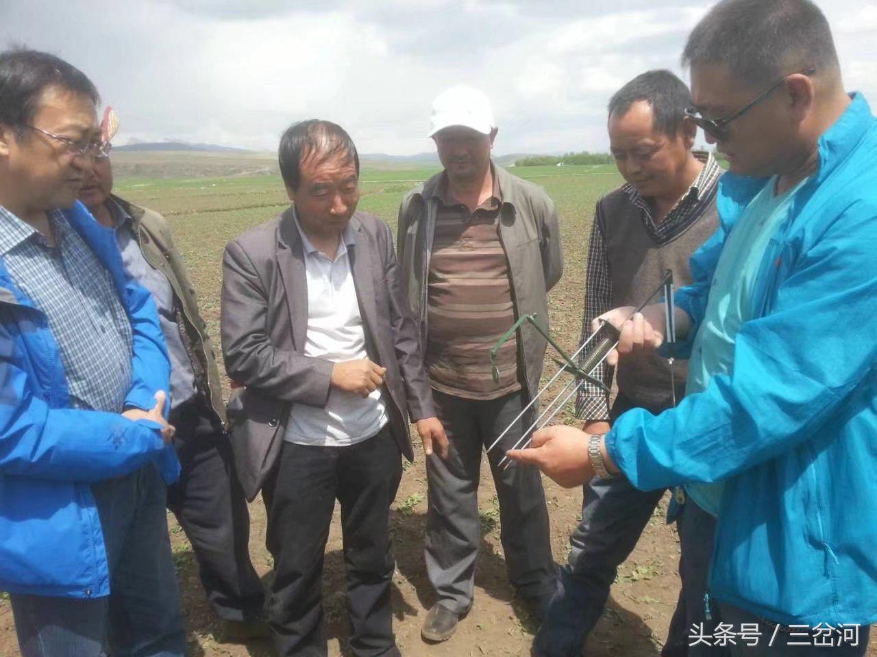 农民新型捕鼠神器,河南农民发明捕鼠神器