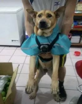 偷看客人吃东西被发现,阿汪秒变无辜脸:我来陪爸爸买酱油的...