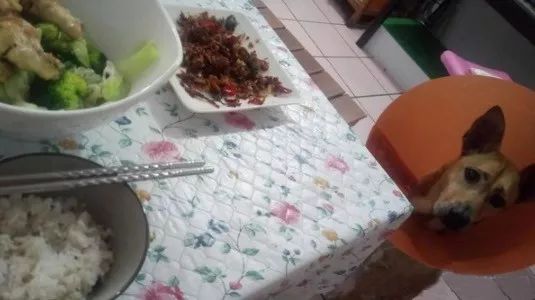 偷看客人吃东西被发现，阿汪秒变无辜脸：我来陪爸爸买酱油的...