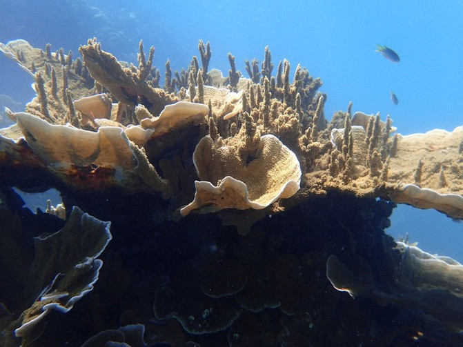 离开喧嚣的城市去野外生活三年,逃离都市喧嚣回归心灵栖居地